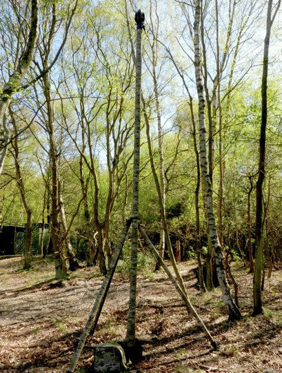 RolaTube - System 50 Tripod